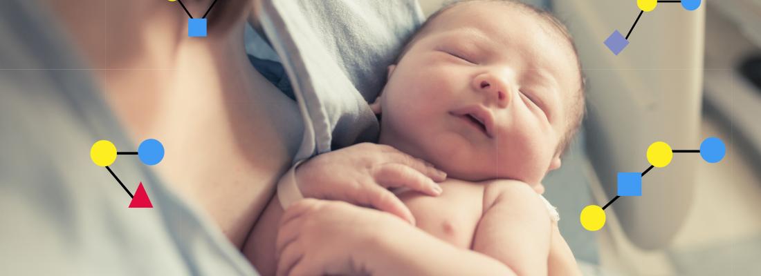 illustration Les oligosaccharides du lait maternel, des alliés potentiels pour améliorer le neurodéveloppement des enfants nés prématurés et allaités