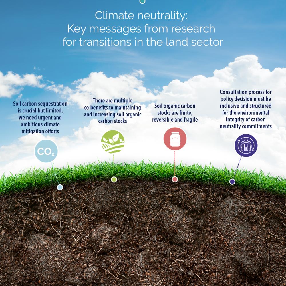 Policy brief - Transitions in the land sector and environmental integrity