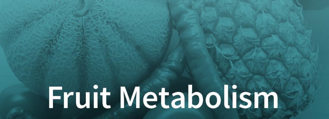 illustration Métabolisme du fruit et métabolomique : un ouvrage coordonné par INRAE fait le point sur les techniques actuelles et leurs applications