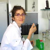 illustration Claudia Bartoli, a young researcher studying the plant microbiota