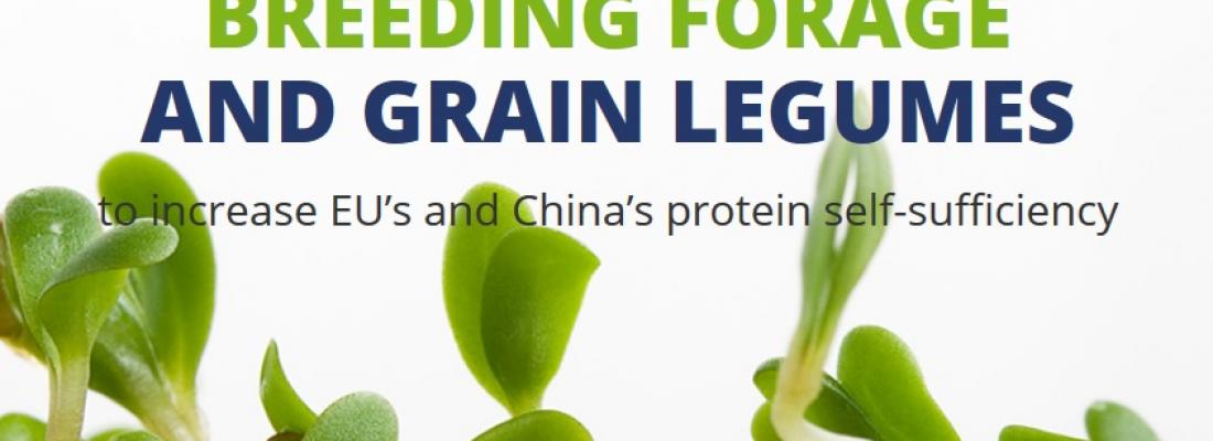illustration Breeding forage and grain legumes to increase EU's and China's protein self-sufficiency