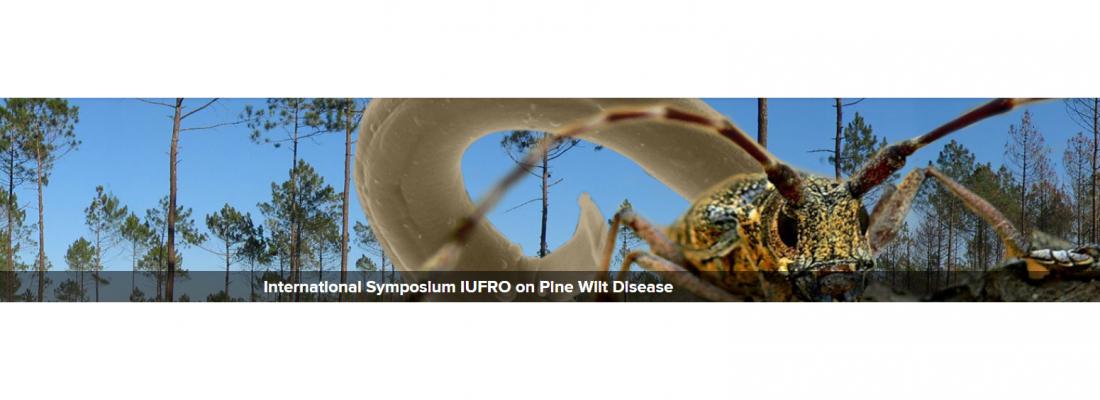 illustration International Symposium IUFRO on Pine Wilt Disease