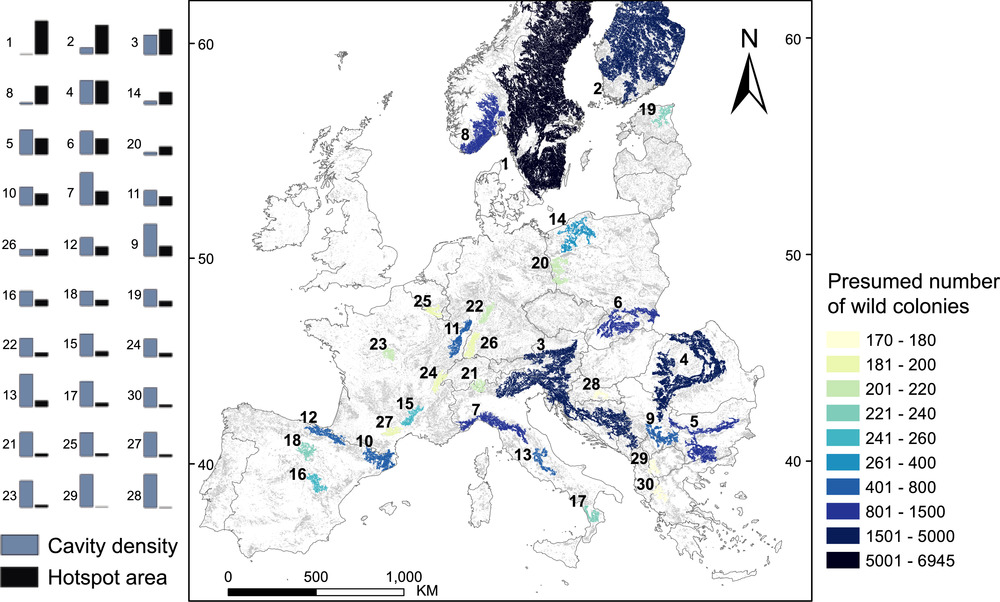Carte européenne des zones de conservation de l'abeille mellifère sauvage