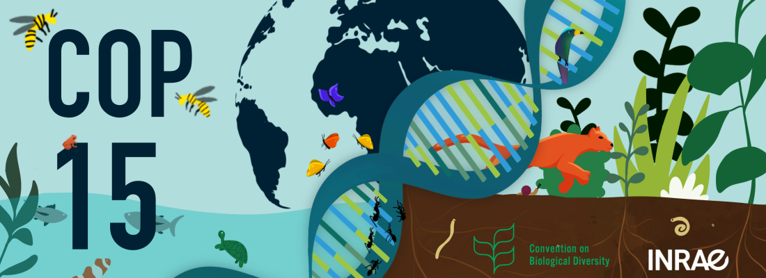 illustration COP15 sur la diversité biologique : contributions d’INRAE