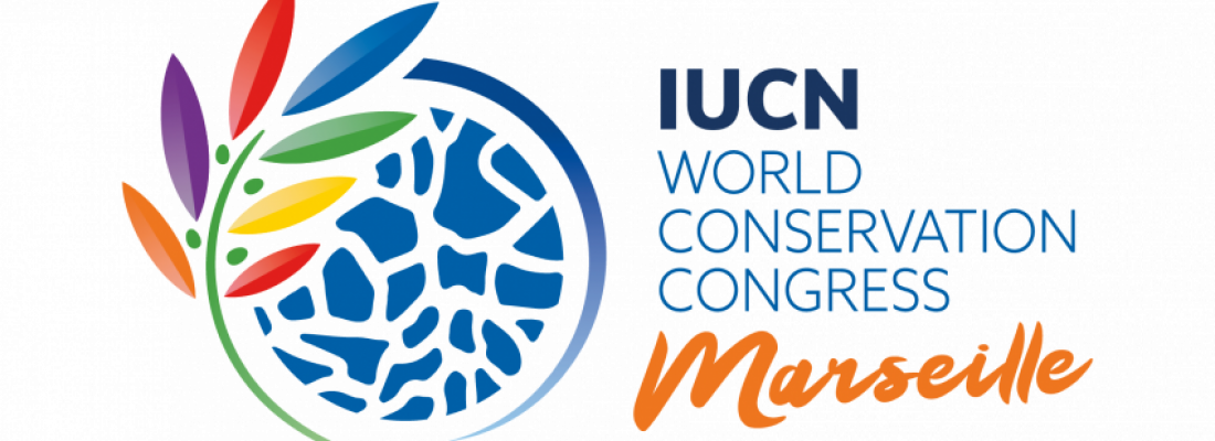 illustration IUCN World Conservation Congress