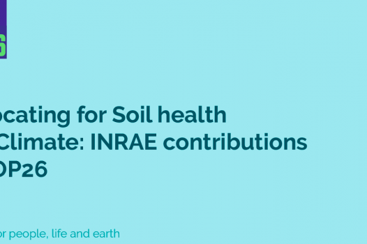 Advocating for Soil health and Climate: INRAE contributions at COP26