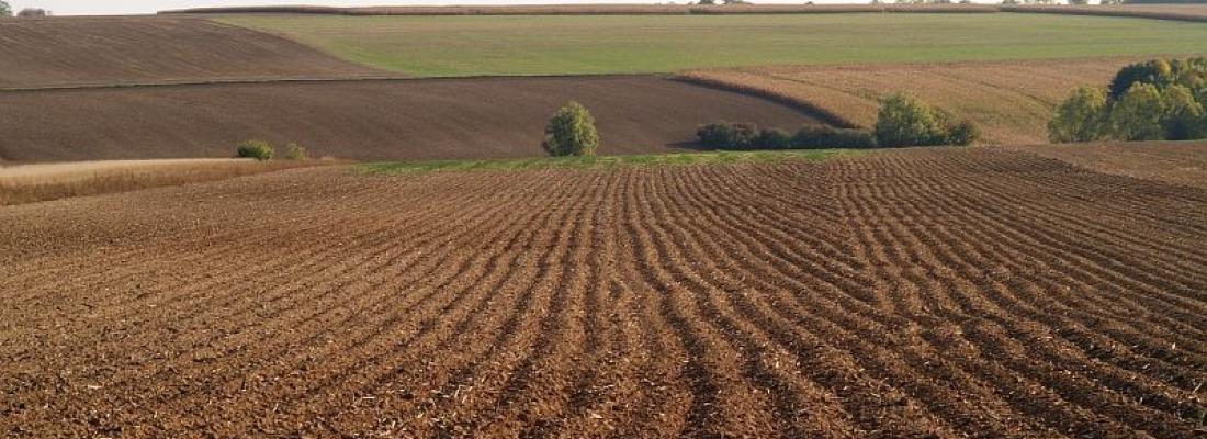illustration Les indicateurs de qualité des sols et leur usage dans un contexte de transitions agricoles