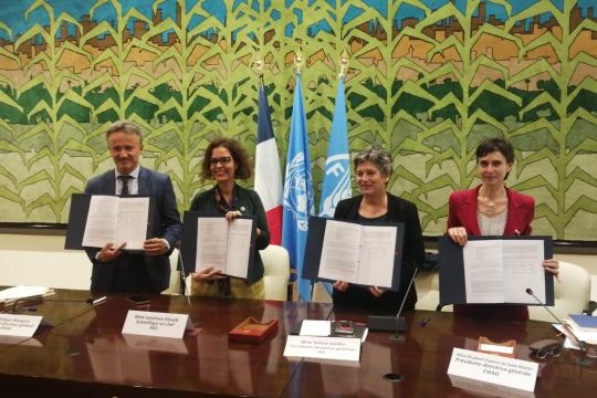 New cooperation agreement between FAO and INRAE, CIRAD and IRD to support the transformation of agrifood systems 
