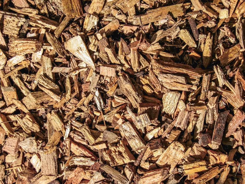 Un guide de bonnes pratiques pour prélever le bois