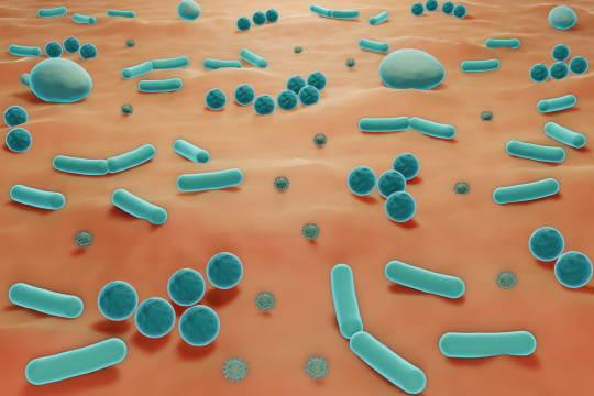 Staphylococcus epidermidis : ami ou ennemi de la peau ? 