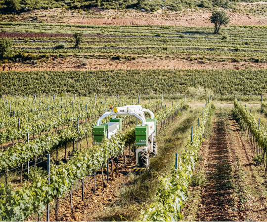 Robot viticole TED enjambant les vignes 