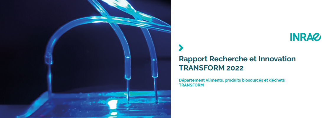 illustration Le rapport Recherche et Innovation du département TRANSFORM 2022 est paru !