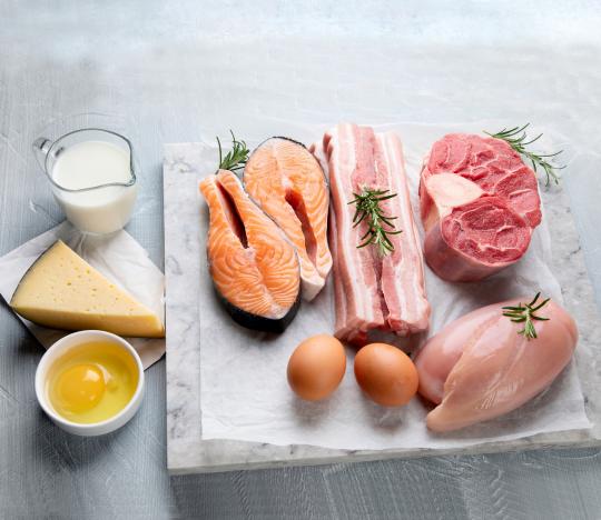 Quality of foods of animal origin based on production and processing conditions