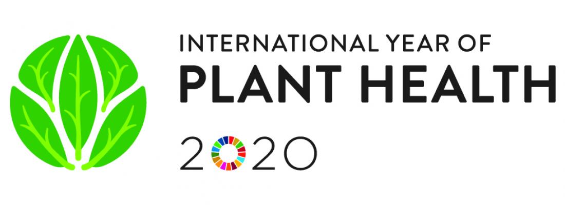 illustration International Year of Plant Health (IYPH)