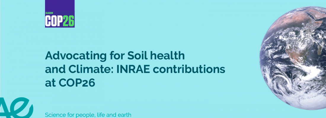 illustration Advocating for Soil health and Climate: INRAE contributions at COP26