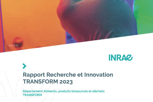Le rapport Recherche et Innovation du département TRANSFORM 2023 est paru !