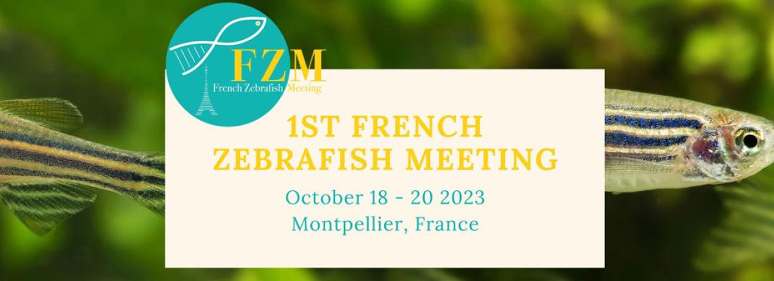 illustration 1st French Zebrafish Meeting
