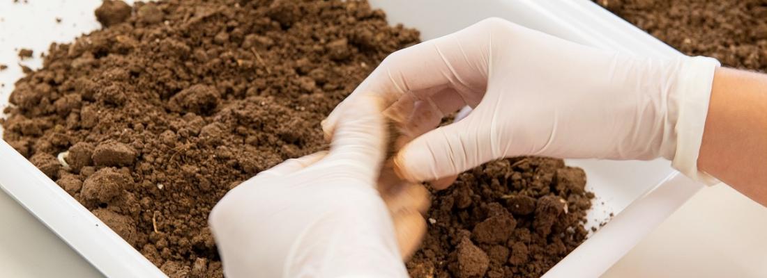 illustration Soil Mapping for a Sustainable Future
