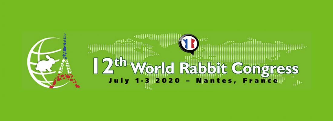 illustration 12th World Rabbit Congress 2021