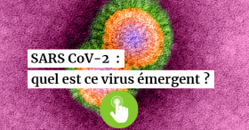 SARS-CoV-2, quel est ce virus émergent ? Cliquez pour en savoir plus
