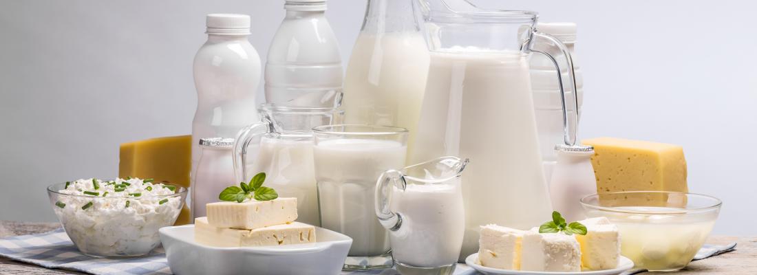 illustration Les produits laitiers, nos alliés santé ! 