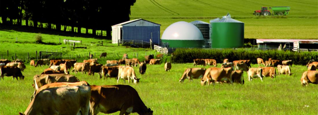 How French Agriculture Can Help Reduce Greenhouse Gas Emissions Inrae Instit