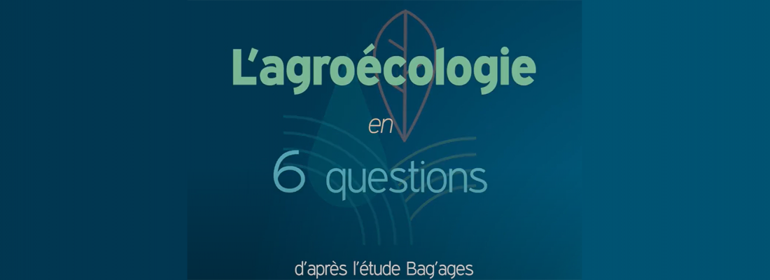 Qu’est-ce que l’agroécologie ? L’étude BAG’AGES en capsules vidéo !