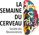 Logo Semaine du Cerveau - Société des Neurosciences