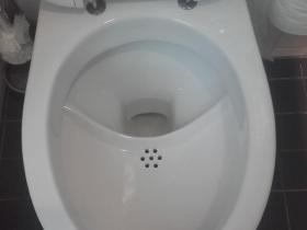 Toilette à séparation