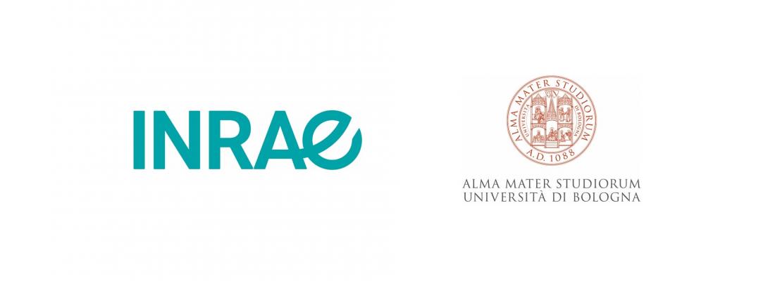 illustration Excellence in European research:  INRAE and the University of Bologna renew a fruitful partnership
