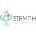 logo Stemah