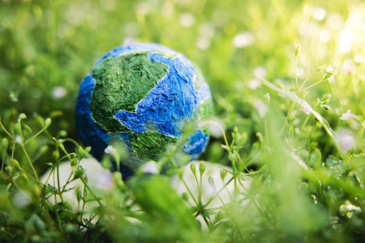 Lancement officiel du Consortium international de recherche sur le carbone du sol