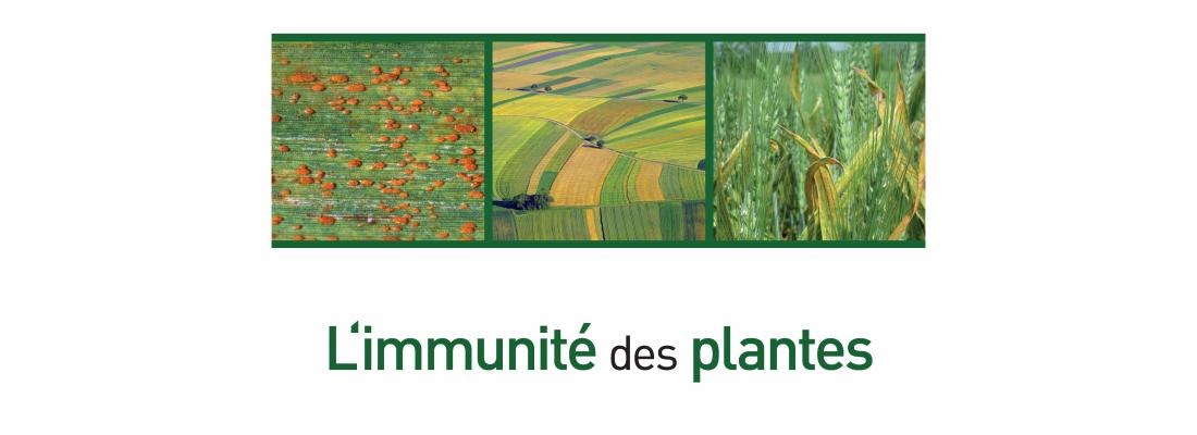 illustration Le Prix Roberval  récompense l'ouvrage "L'immunité des plantes"