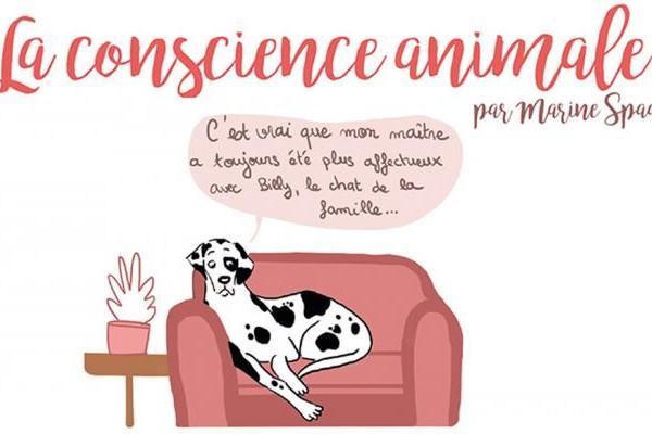 La conscience animale en BD