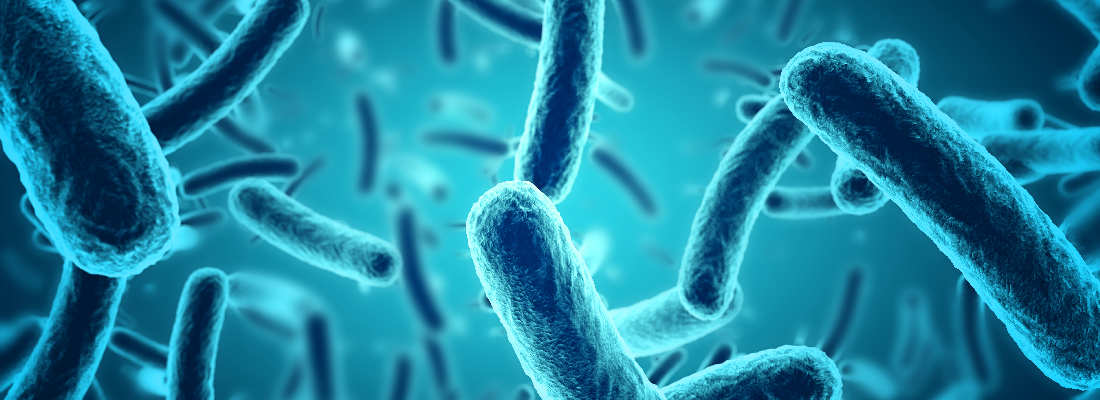 illustration NovoBiome and INRAE: a new Associated Partner Laboratory on human gut microbiota 