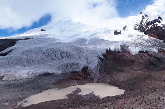 Protecting glaciers to preserve emerging ecosystems 