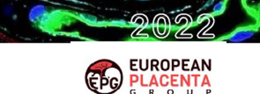 illustration European Placenta Group (EPG) meeting