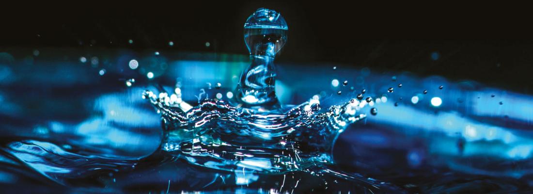 illustration INRAE et la Régie de l'eau Bordeaux Métropole deviennent partenaires pour la préservation de la ressource en eau 