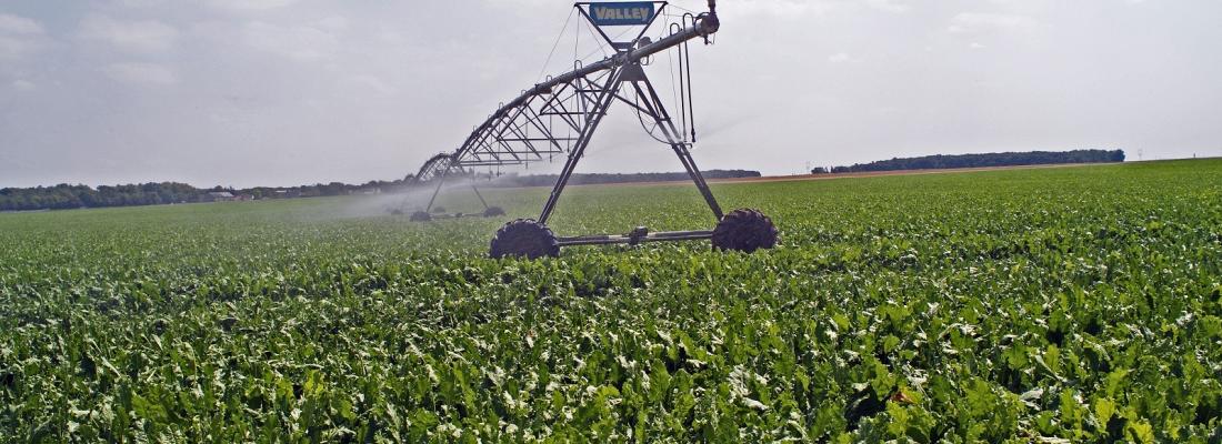 illustration Irrigation : un outil pour évaluer et encourager les économies d’eau 