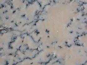 Zoom sur une pâte de fromage "Fourme de Montbrison", avec ses mouchetures bleutées