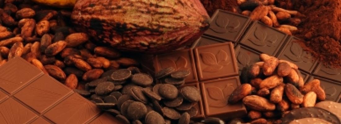 illustration Prédire la qualité organoleptique du chocolat à partir de la fève de cacao