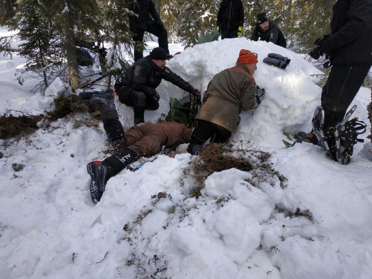 équipe de chercheurs déneigeant l'entrée d'une tanière d'ours
