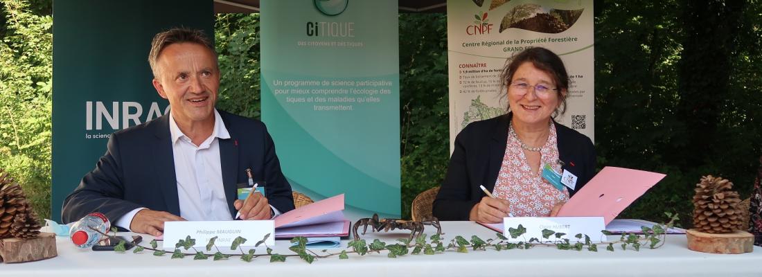 illustration INRAE et le CNPF s’engagent dans un partenariat autour du programme CiTIQUE