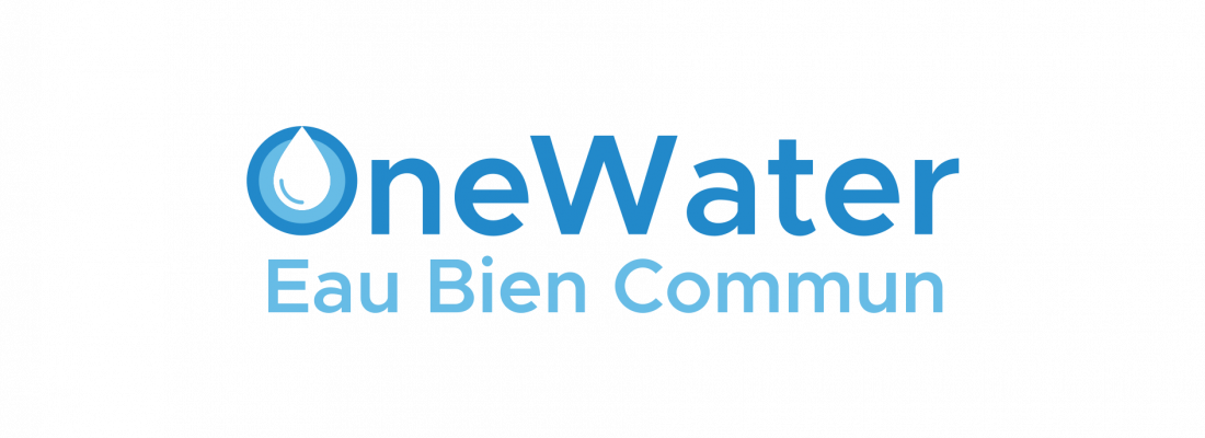illustration OneWater, an exploratory Priority Research Programme and Infrastructure (PEPR) focused on a shared resource