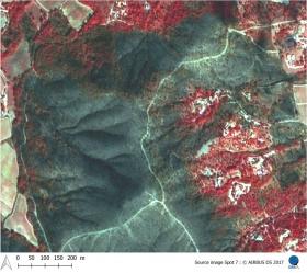Image satellite Spot 7 - La couleur grise témoigne de la zone de végétation brûlée.