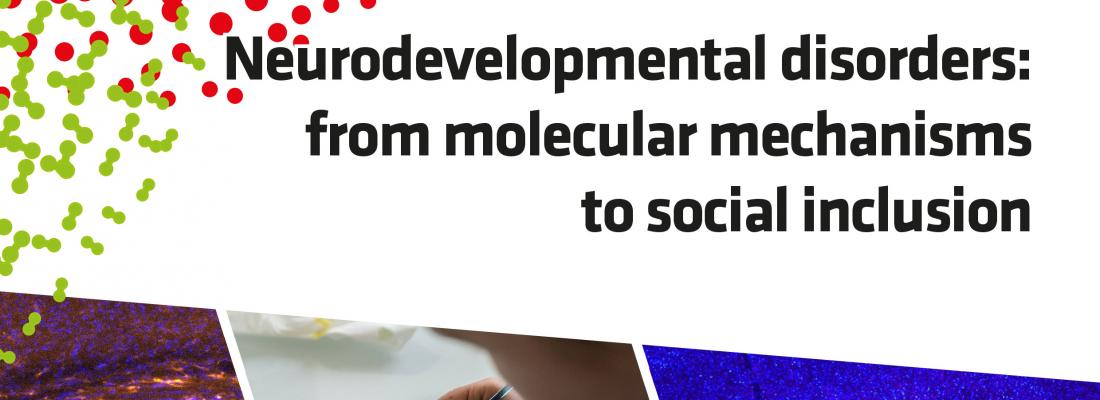 illustration Neurodevelopmental Disorders: From molecular mechanisms to social inclusion