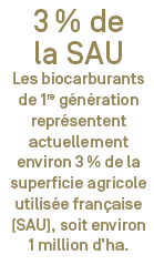 3% de la SAU est utilisée pour des biocarburants