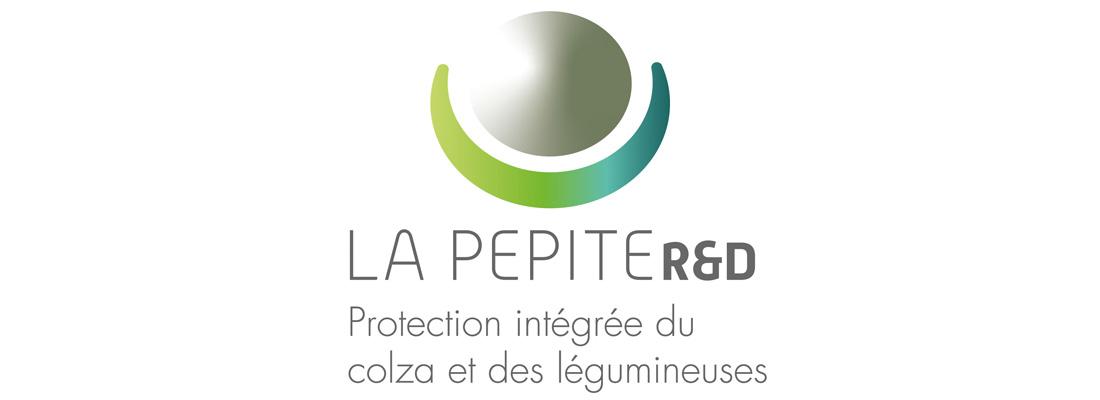 illustration Lancement de LA PEPITE R&D Le laboratoire partenarial associé INRAE-Terres Inovia pour la protection intégrée du colza et des légumineuses
