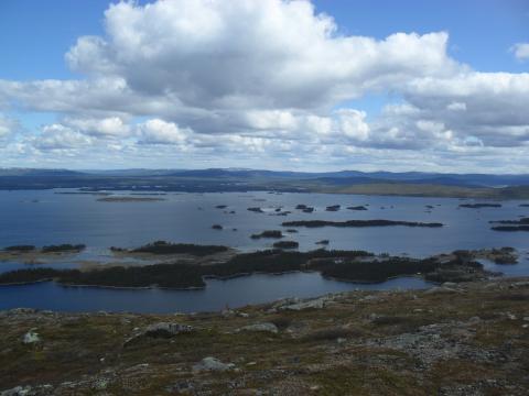Chronoséquence d'îles au nord de la Suède