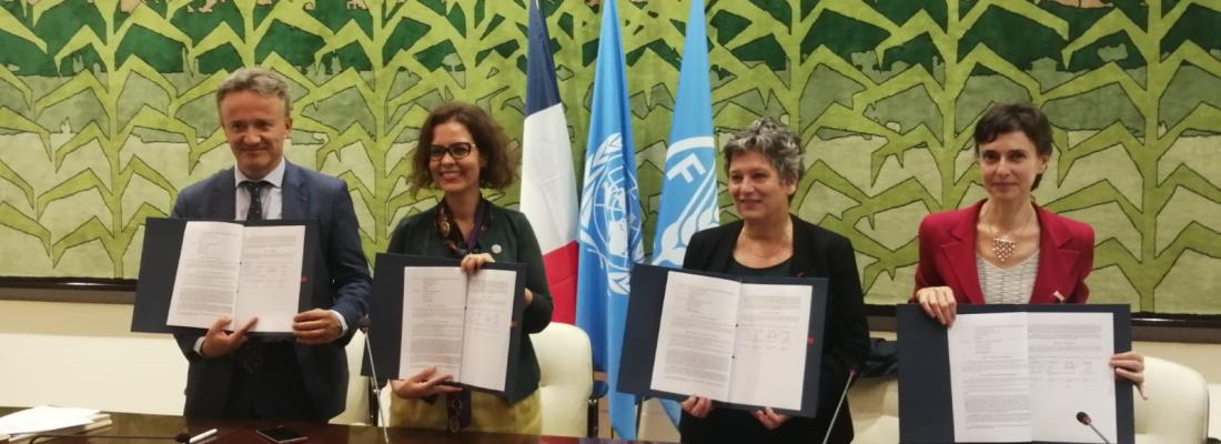 illustration Nouvel accord-cadre entre la FAO et INRAE, le Cirad et l’IRD pour accompagner la transformation des systèmes agricoles et alimentaires 